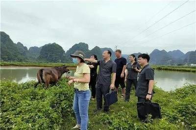龍魚鑒定中心地址查詢，南京龍魚鑒定中心地址查詢