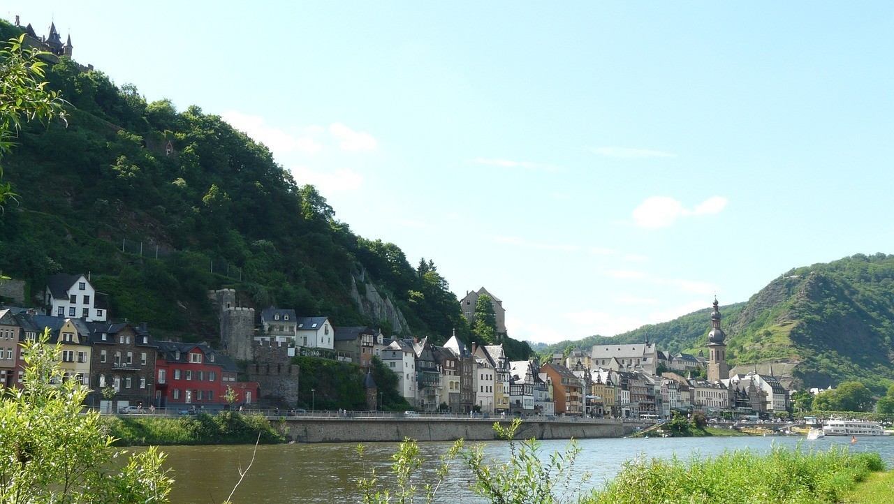 <strong><mark>佛山</mark></strong>市南海區童有成花草店