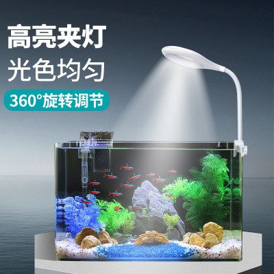 魚缸燈光周期的科學依據了解魚缸燈光周期的科學原理：如何選擇適合的魚缸燈具