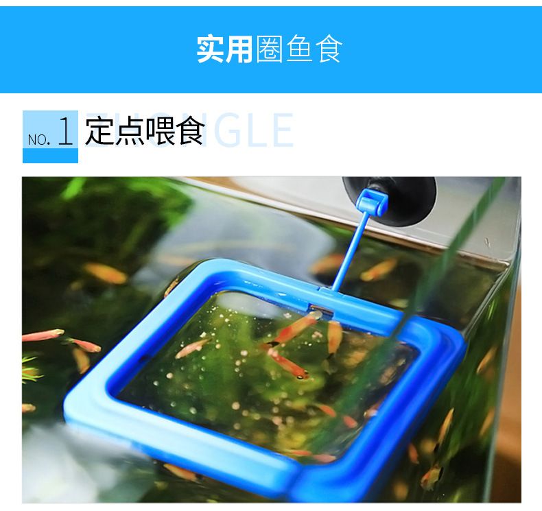 魚缸自動喂食器的選購指南：封閉式魚缸如何安裝喂食器