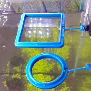 魚缸自動喂食器的選購指南：封閉式魚缸如何安裝喂食器