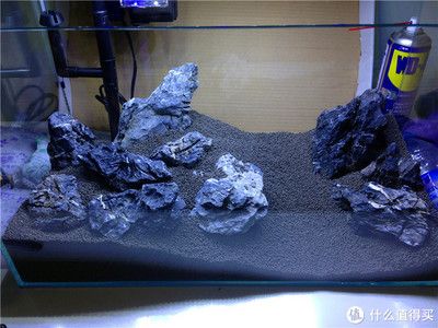 戈壁魚缸造景的幾個步驟和注意事項和注意事項：戈壁風情與魚缸造景