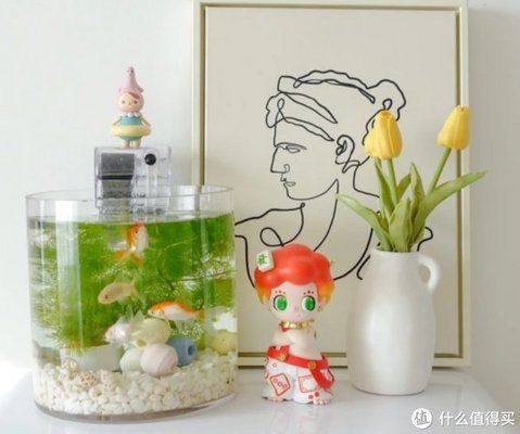 魚(yú)都扎堆在魚(yú)缸的一角里：魚(yú)缸一角扎堆可能由多種因素引起，魚(yú)缸氧氣不足的解決方案