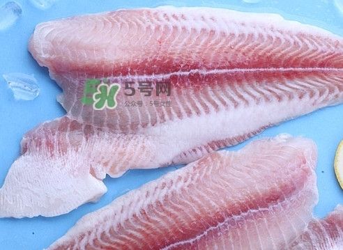 龍魚算不算海鮮：如何辨別龍魚的健康狀態？ 龍魚算不算海鮮：如何辨別龍魚的健康狀態？ 龍魚百科 第2張