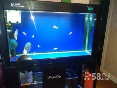 烏魯木齊魚缸批發市場（烏魯木齊魚缸定制服務流程：烏魯木齊魚缸定制服務流程）