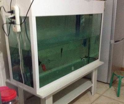烏魯木齊魚缸批發市場（烏魯木齊魚缸定制服務流程：烏魯木齊魚缸定制服務流程）