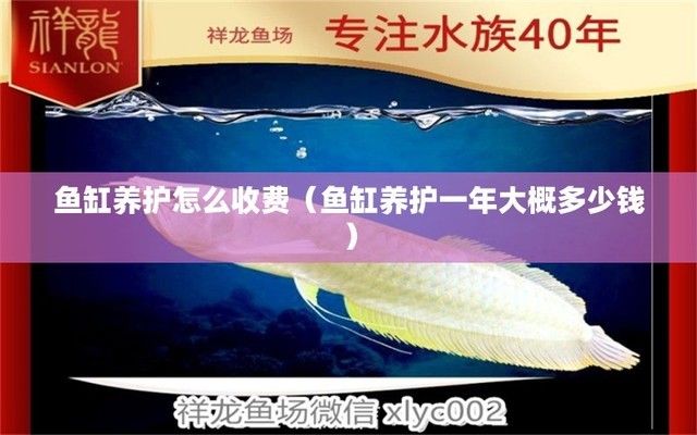 魚缸維護價格怎么算（如何自制魚缸水質調節劑） 魚缸維護價格怎么算（如何自制魚缸水質調節劑） 龍魚百科 第1張