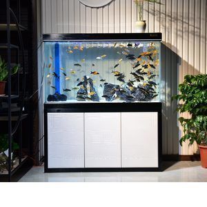 可麗愛(ài)魚(yú)缸1萬(wàn)多還不是超白