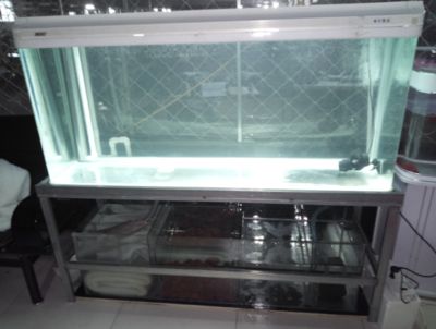 底濾魚缸的溢流工作和維護：底濾魚缸的溢流與維護 底濾魚缸的溢流工作和維護：底濾魚缸的溢流與維護 魚缸百科 第3張