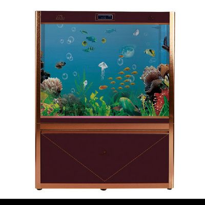 可麗愛魚缸使用壽命多久：可麗愛魚缸使用壽命相對較長具體細節如下細節證實 可麗愛魚缸使用壽命多久：可麗愛魚缸使用壽命相對較長具體細節如下細節證實 魚缸百科 第5張