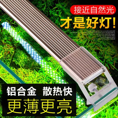 金龍魚(yú)真假查詢(xún)（如何通過(guò)多種方式進(jìn)行金龍魚(yú)真?zhèn)蔚牟樵?xún)） 金龍魚(yú)真假查詢(xún)（如何通過(guò)多種方式進(jìn)行金龍魚(yú)真?zhèn)蔚牟樵?xún)） 龍魚(yú)百科 第1張