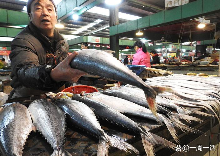 武漢龍魚批發(fā)市場(chǎng)在哪個(gè)位置呀圖片