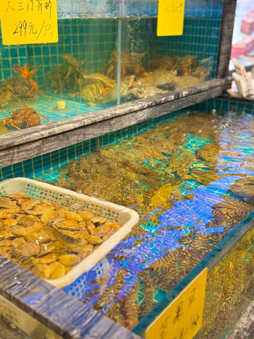 武漢龍魚批發(fā)市場(chǎng)在哪個(gè)位置呀圖片