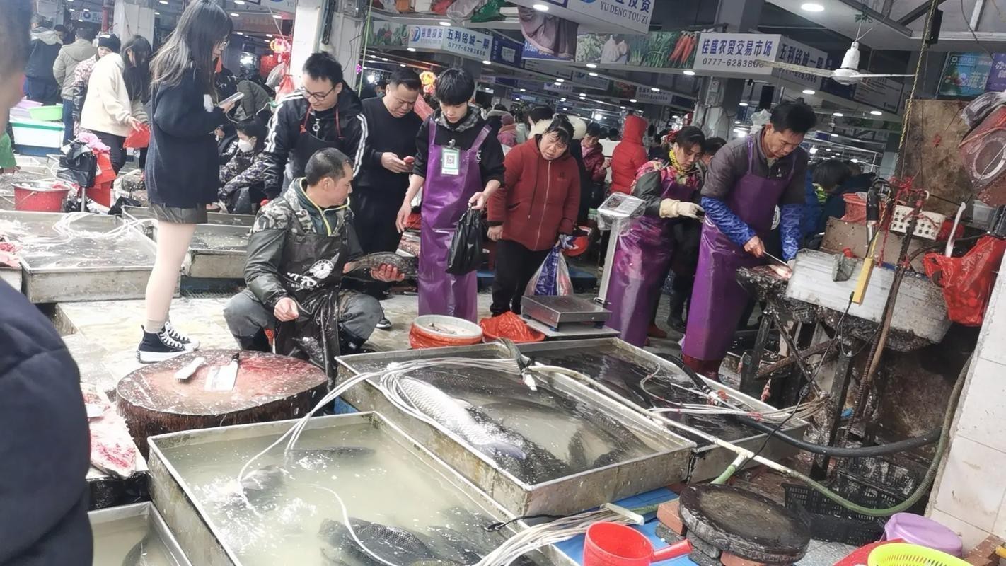 武漢龍魚批發(fā)市場(chǎng)在哪個(gè)位置呀圖片