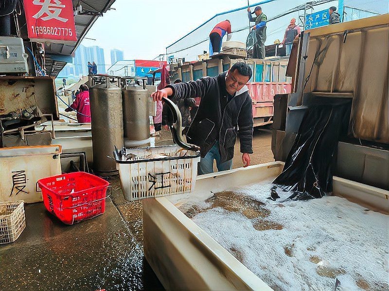 武漢龍魚批發(fā)市場(chǎng)在哪個(gè)位置呀圖片