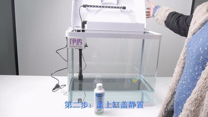 魚缸消毒的幾種方法:剛買的魚缸可以用鹽水、高錳酸鉀或其他消毒劑進行消毒 魚缸百科 第1張 魚缸消毒的幾種方法:剛買的魚缸可以用鹽水、高錳酸鉀或其他消毒劑進行消毒 魚缸消毒的幾種方法:剛買的魚缸可以用鹽水、高錳酸鉀或其他消毒劑進行消毒 魚缸百科 第1張