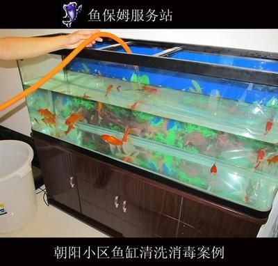 魚缸消毒的幾種方法:剛買的魚缸可以用鹽水、高錳酸鉀或其他消毒劑進行消毒 魚缸百科 第3張 魚缸消毒的幾種方法:剛買的魚缸可以用鹽水、高錳酸鉀或其他消毒劑進行消毒 魚缸消毒的幾種方法:剛買的魚缸可以用鹽水、高錳酸鉀或其他消毒劑進行消毒 魚缸百科 第3張