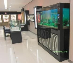 黑色的魚缸顏色在風水中代表財富和財富的象征意義：風水魚的種類與寓意