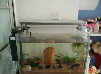 魚缸濾桶的結構圖：如何自制簡易魚缸濾桶,魚缸水質檢測方法介紹