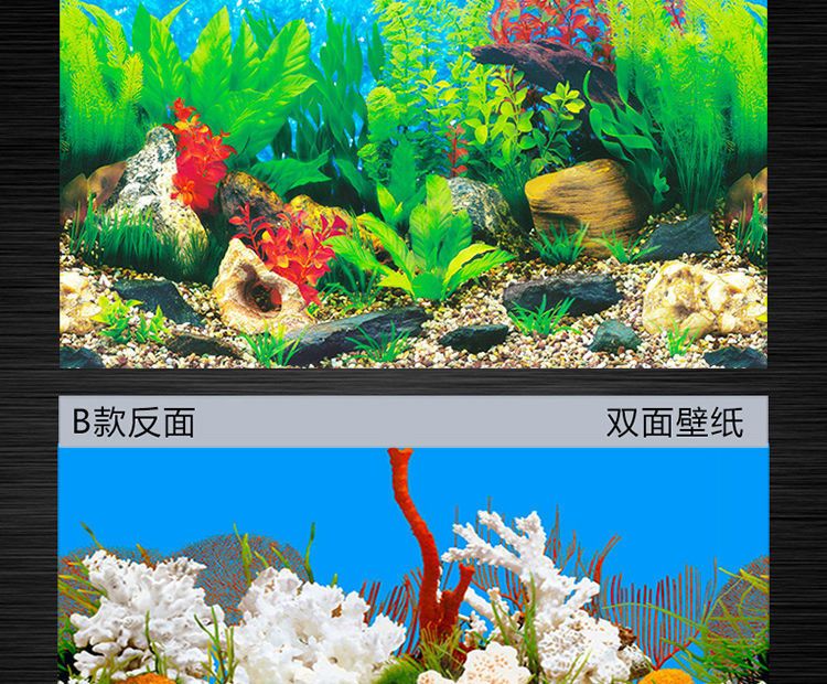 高端魚缸背景畫高清貼紙圖推薦：幾款高端魚缸背景畫高清貼紙圖