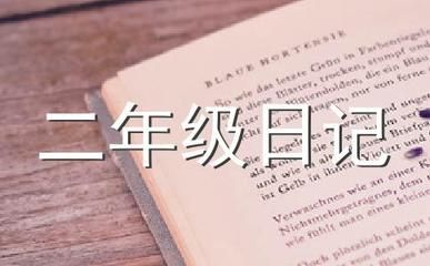 陽臺(tái)上能養(yǎng)金龍魚嗎（陽臺(tái)上可以養(yǎng)金龍魚嗎？）