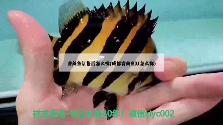 睿美魚缸各型號圖片：rame睿美魚缸智能功能介紹睿美魚缸用戶評價