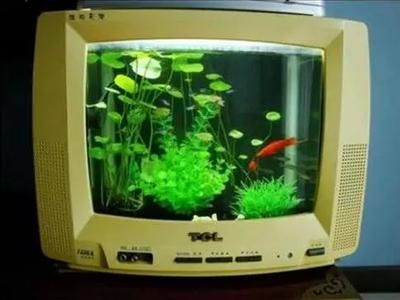 電視機(jī)改魚缸的兩種不同的改造方法探索魚缸環(huán)保改造之路：廢舊電視機(jī)改造成魚缸的方式