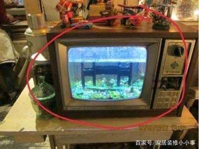 電視機(jī)改魚缸的兩種不同的改造方法探索魚缸環(huán)保改造之路：廢舊電視機(jī)改造成魚缸的方式