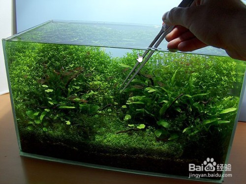 呼和浩特市<strong><mark>回民</mark></strong>區樂花有緣花卉店