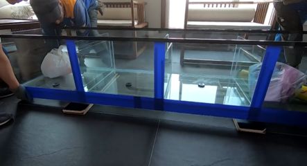 龍魚缸diy制作圖解：如何自制一個簡易的龍魚缸 龍魚缸diy制作圖解：如何自制一個簡易的龍魚缸 魚缸百科 第1張