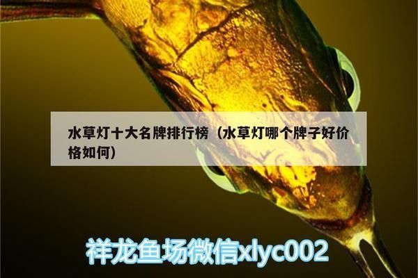 水族燈品牌推薦：水族燈品牌性?xún)r(jià)比對(duì)比