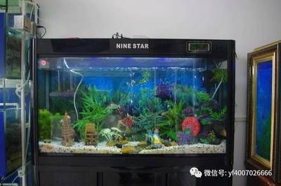 水族燈品牌推薦：水族燈品牌性?xún)r(jià)比對(duì)比
