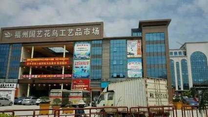 福州水族批發市場：福州水族市場最新動態，福州觀賞魚品種介紹