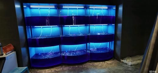 飯店魚缸的制作涉及到多個(gè)步驟和技術(shù)是根據(jù)搜索結(jié)果整理的：飯店魚缸制作方法