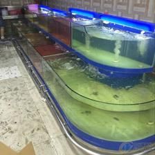 飯店魚缸的制作涉及到多個(gè)步驟和技術(shù)是根據(jù)搜索結(jié)果整理的：飯店魚缸制作方法