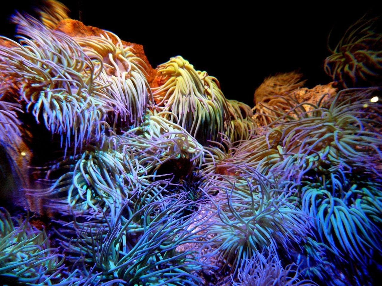 開原市喜馬生態水族館（開原市喜馬生態水族館電話）