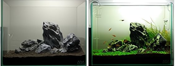 生態魚缸的設計理念：智能魚缸模塊化設計在魚缸中的應用模塊化設計理念 生態魚缸的設計理念：智能魚缸模塊化設計在魚缸中的應用模塊化設計理念 魚缸百科 第2張