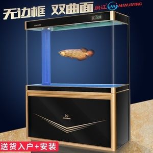 一米長、寬度不足的魚缸可以飼養一米的缸養龍魚行嗎：一米的魚缸養龍魚行嗎