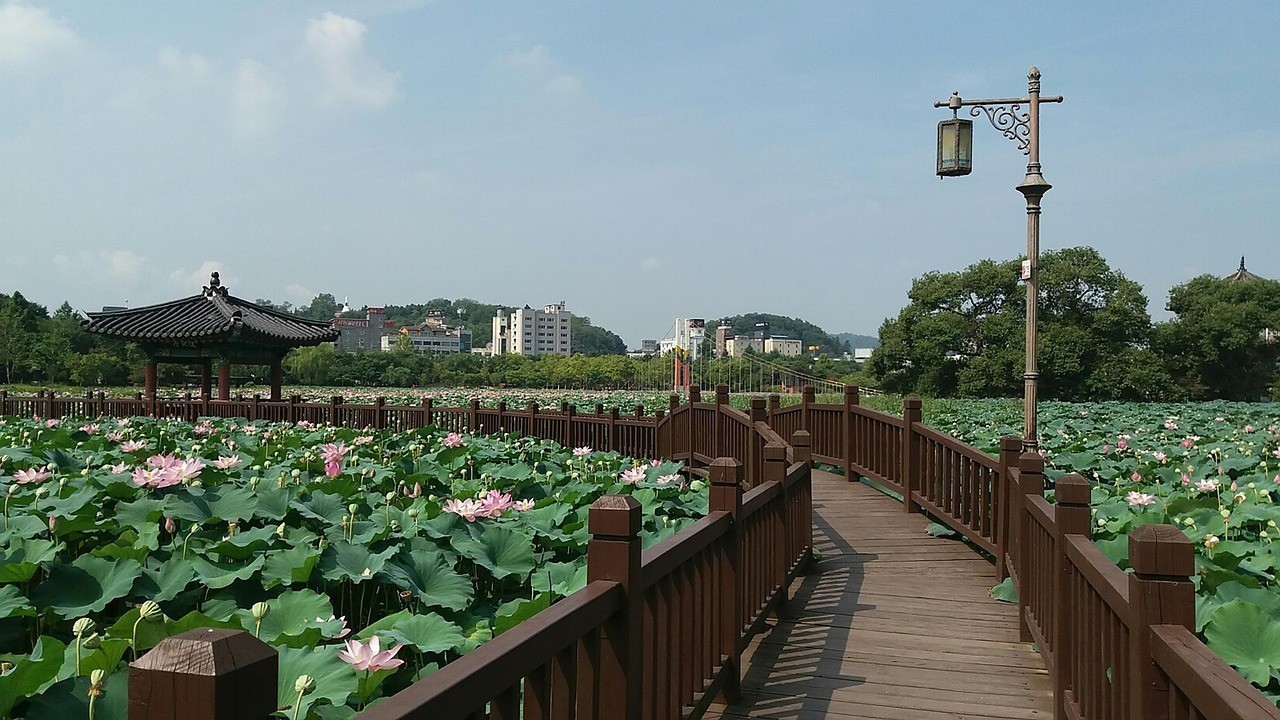 諸暨市無野水族景觀有限公司（諸暨市無野水族景觀有限公司招聘） 諸暨市無野水族景觀有限公司（諸暨市無野水族景觀有限公司招聘） 全國水族館企業(yè)名錄 第2張
