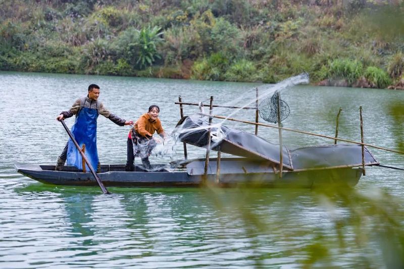 桂林龍魚來源于哪里