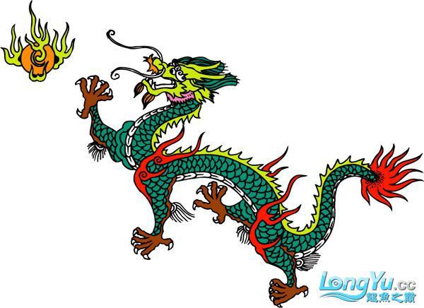 桂林龍魚來源于哪里