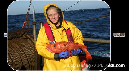 紅龍魚廠家（紅龍魚廠家可供選擇其他廠家可供選擇紅龍魚廠家）