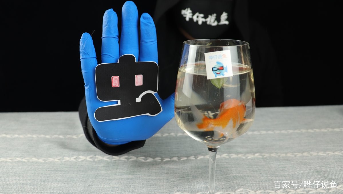 龍魚外寄生蟲的傳播途徑有哪些？
