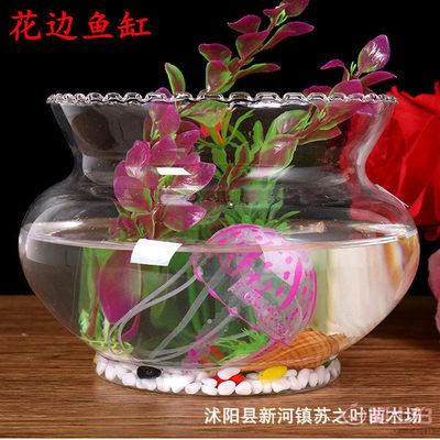 花邊魚缸批發廠家可以作為水培植物水培植物養護秘籍：如何找到花邊魚缸批發廠家 花邊魚缸批發廠家可以作為水培植物水培植物養護秘籍：如何找到花邊魚缸批發廠家 魚缸百科 第1張