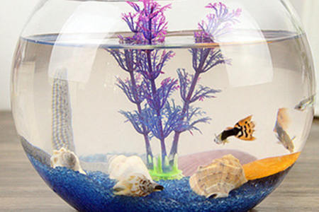 泰興市水族鮮飯莊（泰興市水族鮮飯莊電話號碼）