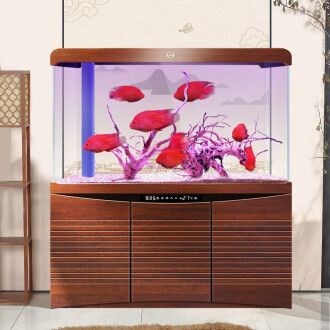 魚缸設(shè)計的藝術(shù)與科學(xué)探索魚缸設(shè)計的藝術(shù)性和科學(xué)選擇：水族箱品牌排行榜 魚缸設(shè)計的藝術(shù)與科學(xué)探索魚缸設(shè)計的藝術(shù)性和科學(xué)選擇：水族箱品牌排行榜 魚缸百科 第1張