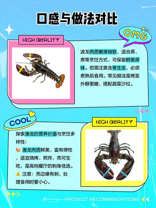 澳龍和波龍有什么區別？