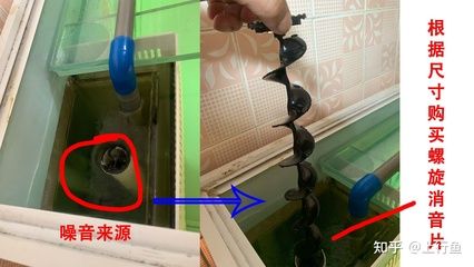 魚缸溢流管堵塞怎么辦:底濾魚缸溢流管堵塞怎么辦 魚缸百科 第1張 魚缸溢流管堵塞怎么辦:底濾魚缸溢流管堵塞怎么辦 魚缸溢流管堵塞怎么辦:底濾魚缸溢流管堵塞怎么辦 魚缸百科 第1張