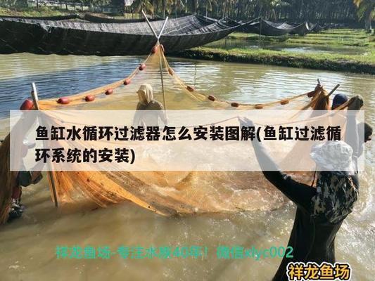 金華市<strong><mark>婺城</mark></strong>區源生態水族館（金華市<strong><mark>婺城</mark></strong>區源生態水族館地址）