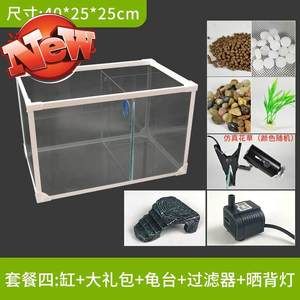 混養魚缸尺寸推薦：如何選擇合適的混養魚缸尺寸